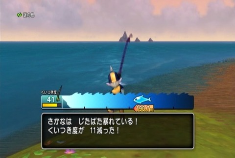 魚図鑑&ホシザメ04