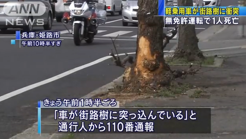 vg234fg23g3g3無題