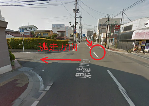 f3f3無g43g34g3g3題