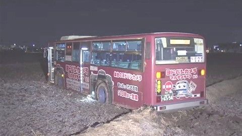 news2686303_6