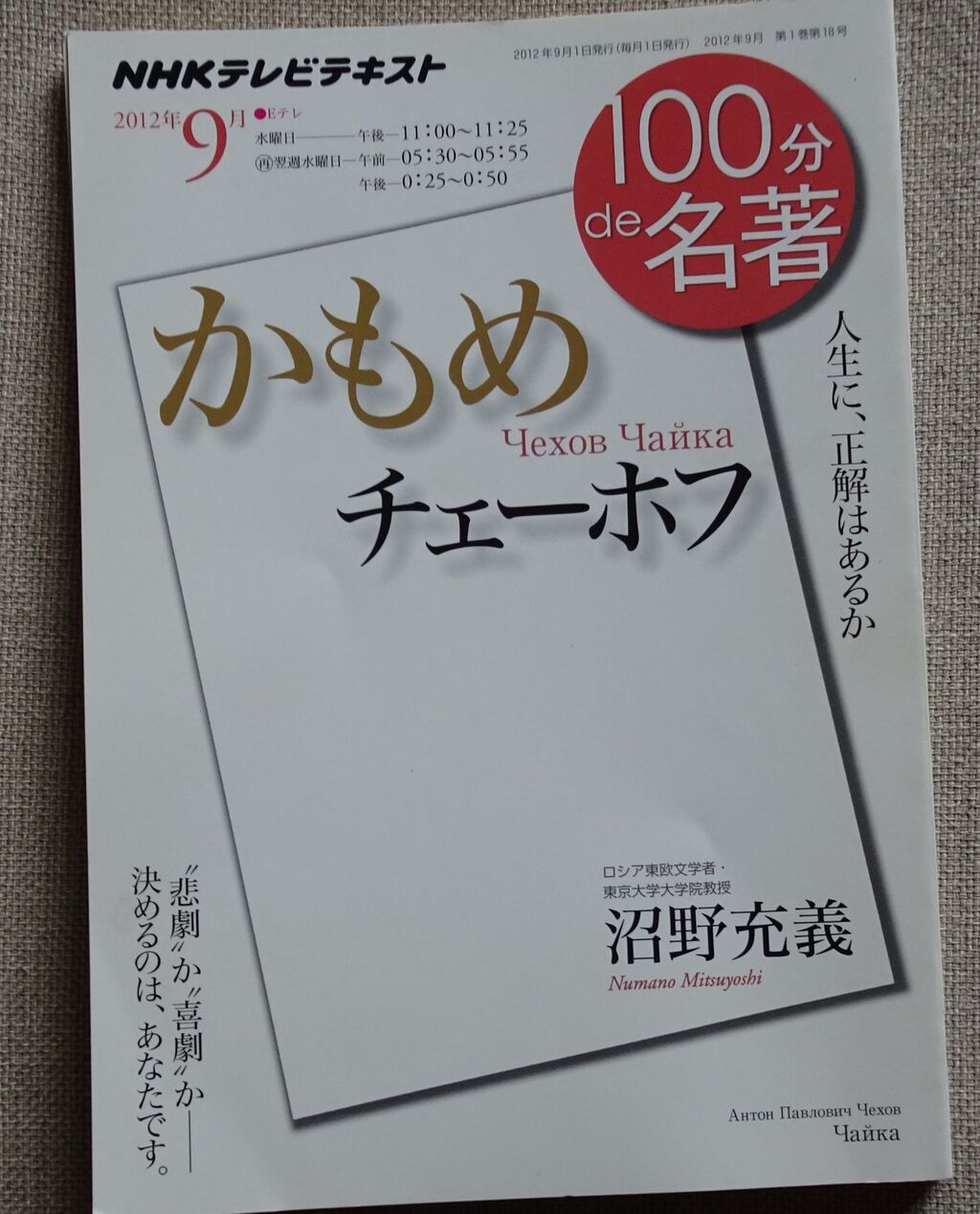 11月3日に つづき メゾフォルテからあなたへ 11月3日に つづき メゾフォルテからあなたへ