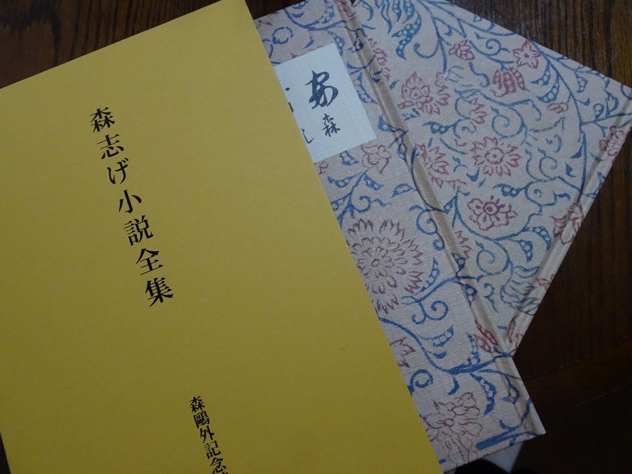 続 寧日記 １４７ 鴎外の横顔 ２０ メゾフォルテからあなたへ
