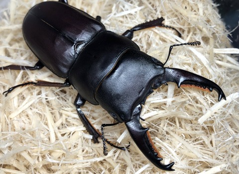 65077CAF-DC17-4C70-AEBF-32AACC5343CA