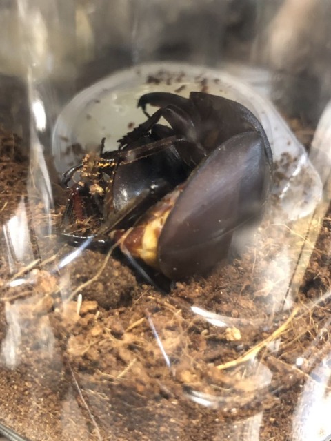 DCC8A820-E306-4775-8F85-0DF4290A3840