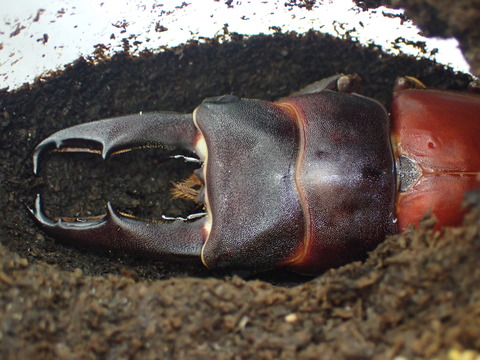 51646E04-7EA0-4519-85DC-8B38BCC30E6F