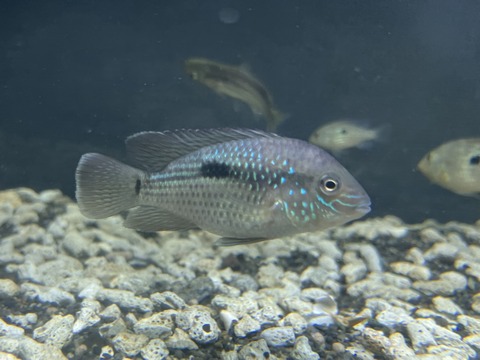 7882680F-D09B-48E6-8BF6-A8C55B24CEDA