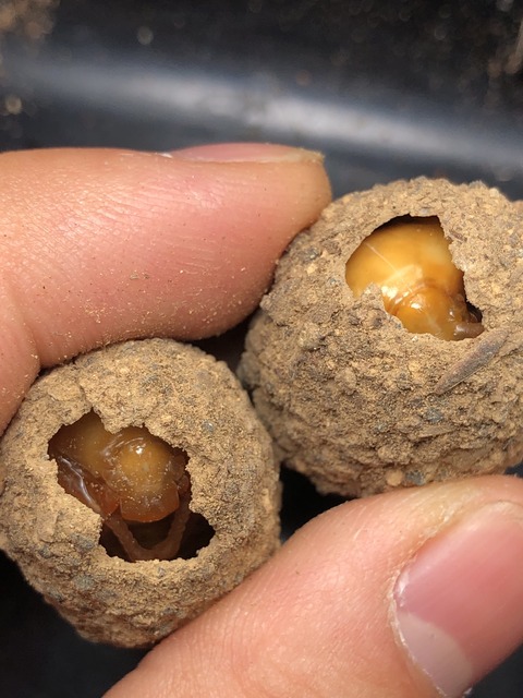 25BA9483-AC1A-4DB2-88B9-A7C54B9FDDE3