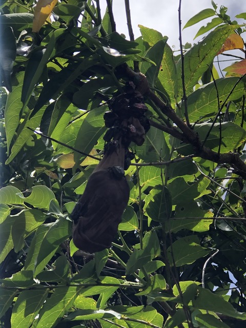 39DE2FCB-DF0E-4F15-B4D9-234E28BD1E8E