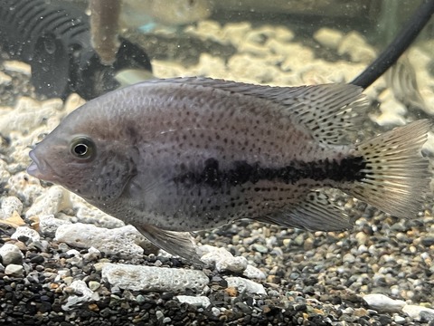 9F86C555-F40D-4972-9A0D-69F4A438E251