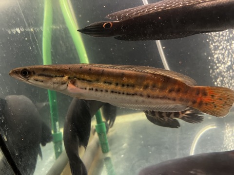 7B5DB356-1578-4A4C-8410-9CD2FFF179FF