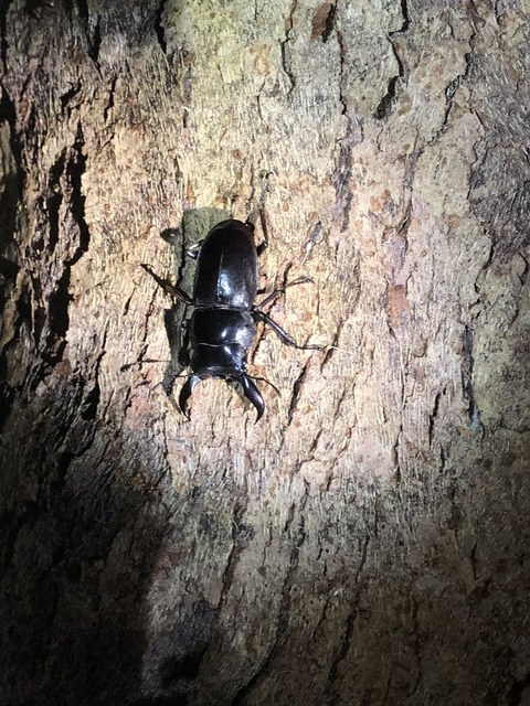 8E8A963F-B7A8-4949-9331-9AE824EB2614