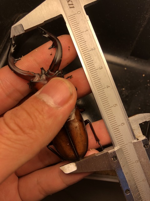 441F4277-0DB8-4F0F-B0AC-629C431E8545