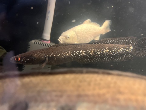 22B77EB9-6638-46F3-B985-12559F178FD8