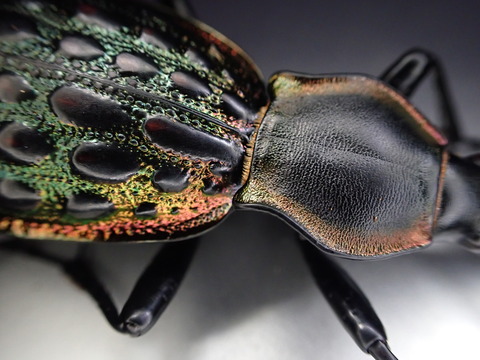 B762B4BF-C552-45E6-8A73-6F39E1D9C03D