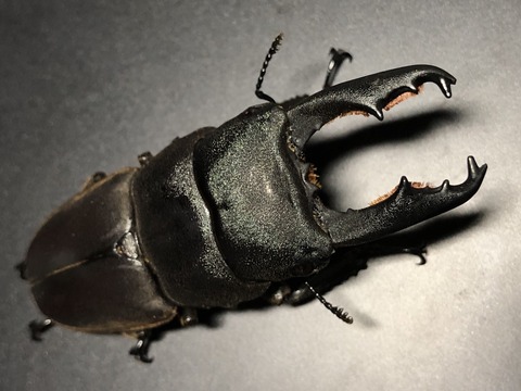 767CEC13-2B38-44DB-A5B0-925E83E5EE28