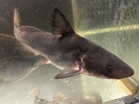 5DE28435-24F3-4F57-94B5-456A5DE90962