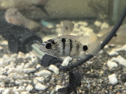 D14F89C8-83DE-4133-905E-CC971C06EDDE