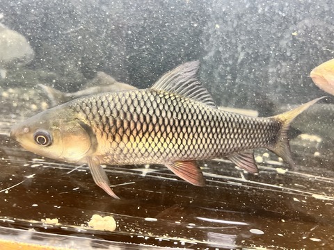 0231A362-7216-4711-9A88-B69D83192DF8