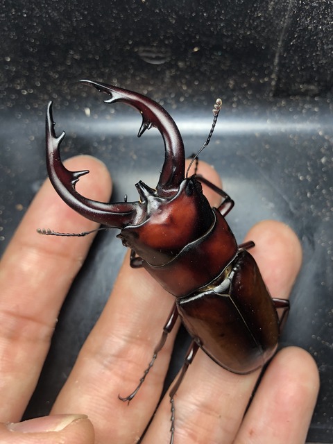 80EBC893-FD3B-4771-9F3D-AC3F33386753