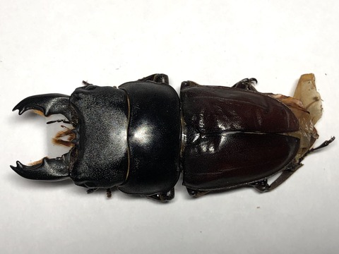 6E3DC28D-2FB3-44C0-BE65-6A0E0B32766A