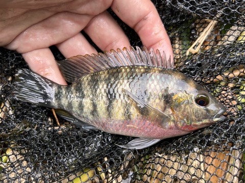 24A65E29-DB80-4854-AC79-E4AA8F276CB3