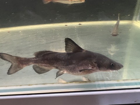 76BAADB7-A73D-4177-B9B2-8271D40EAF6C