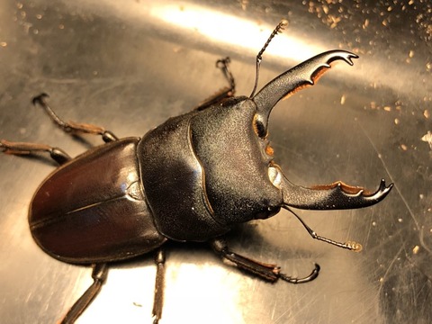 A26E23A0-7967-4444-8450-5DF9AA617A10