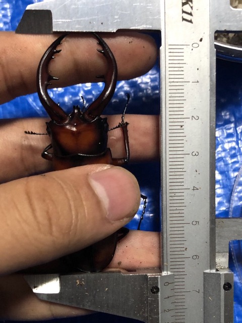 A0BE0FCB-D378-4E7E-B599-5E5BFF00EC2E