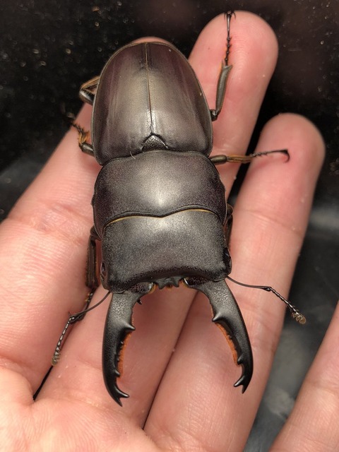 C2A263D8-B4A7-421E-AB66-30E6F02E6620