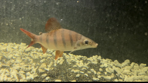 67802753-AC9B-4929-A819-5CE13DB97BBB