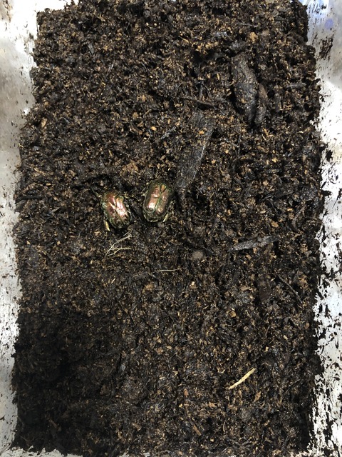 E279E7F1-BE8E-4C48-8AA4-0B0FDC49635A