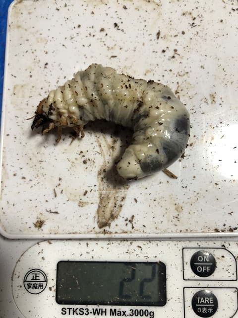 500CD34C-A771-48C8-A0AB-8AEF8B919F4E