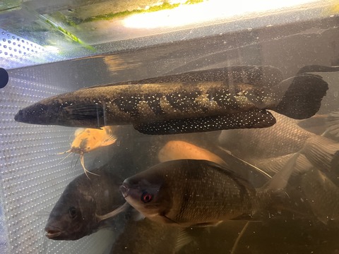 832E7C00-6060-4CDF-A364-3FBEC9F75F5E