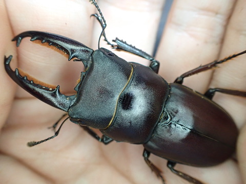 A3E36990-F079-4A55-97DE-284648728F31