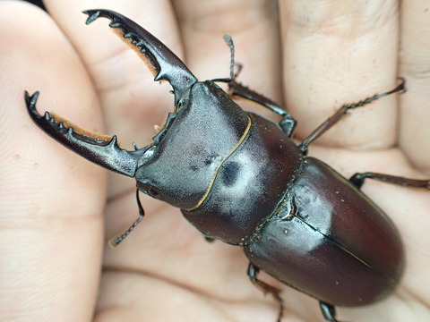 B188C62B-22B7-4F29-8DA1-9DF8A5B6B2E4