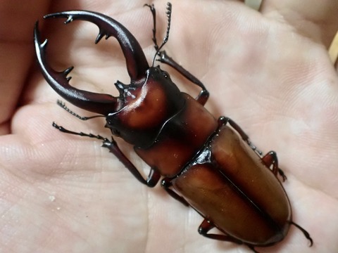 995D83EF-89E6-4155-9EF8-2258E5C45FBA