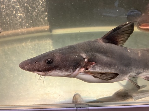 62969191-3BF2-4D30-AE0E-1599D0EB594B