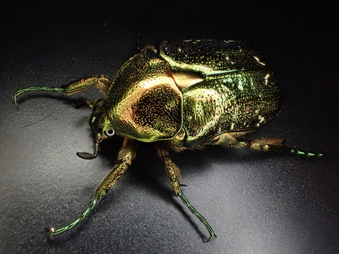 E82953A4-16A4-4006-B58A-6A77F0368D80