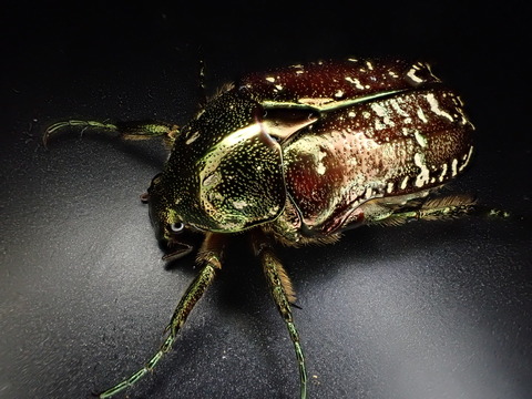 554BB0F6-F802-4034-88F9-A3704A00539D