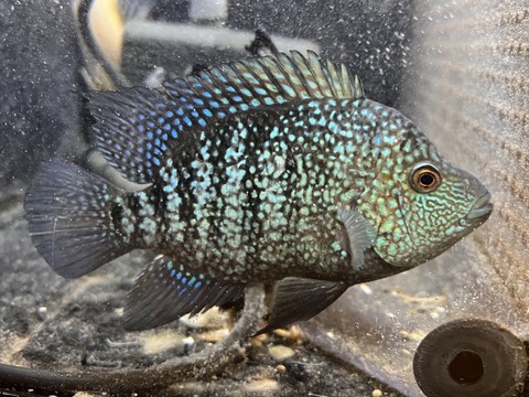 862F5A12-CA75-4425-BB0C-BBEEBF547351