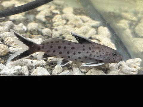 04B511D5-0691-45E5-AD47-50AE45CE7226