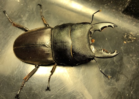 1728BEFD-FAA1-448A-B557-E8813A0E39AD