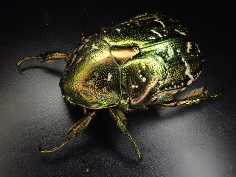 7BC728D4-8D72-4B1B-B032-993AAC5CB886