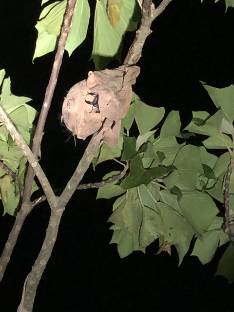 BC342A52-0171-487B-97E5-9F27B241B3C3