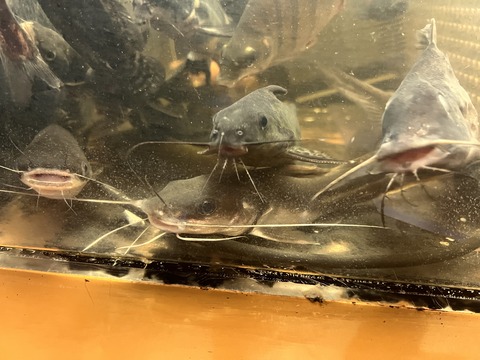 CA35D3D2-6FB1-4D39-850D-1F00B4E65E0E