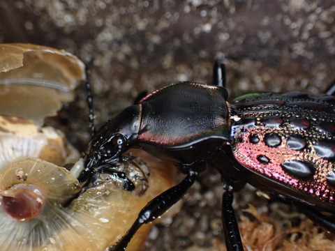 99310990-C2B9-48FB-AD0B-B23233D69379