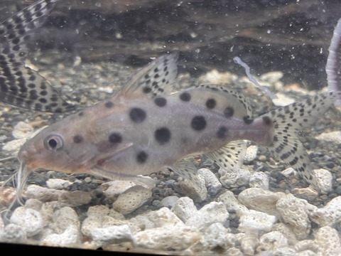 C07D1250-4015-45B6-A336-D4D94797FFA3