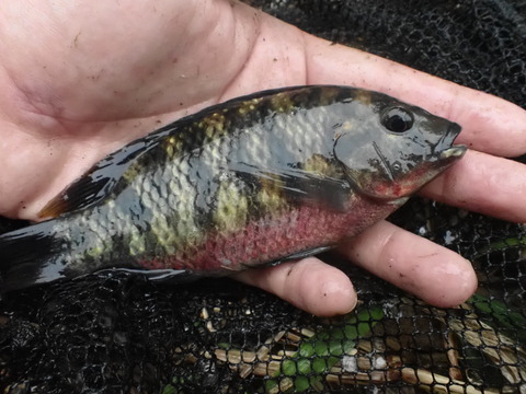 292F08DB-FA61-411B-A512-4A4F77EA609F