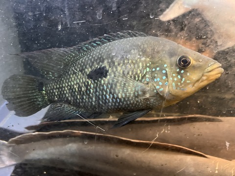 42B6A776-5BC3-4A53-8774-61B1078241B1