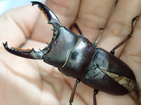 9BA9D087-E708-4665-B722-0A1DA137933D